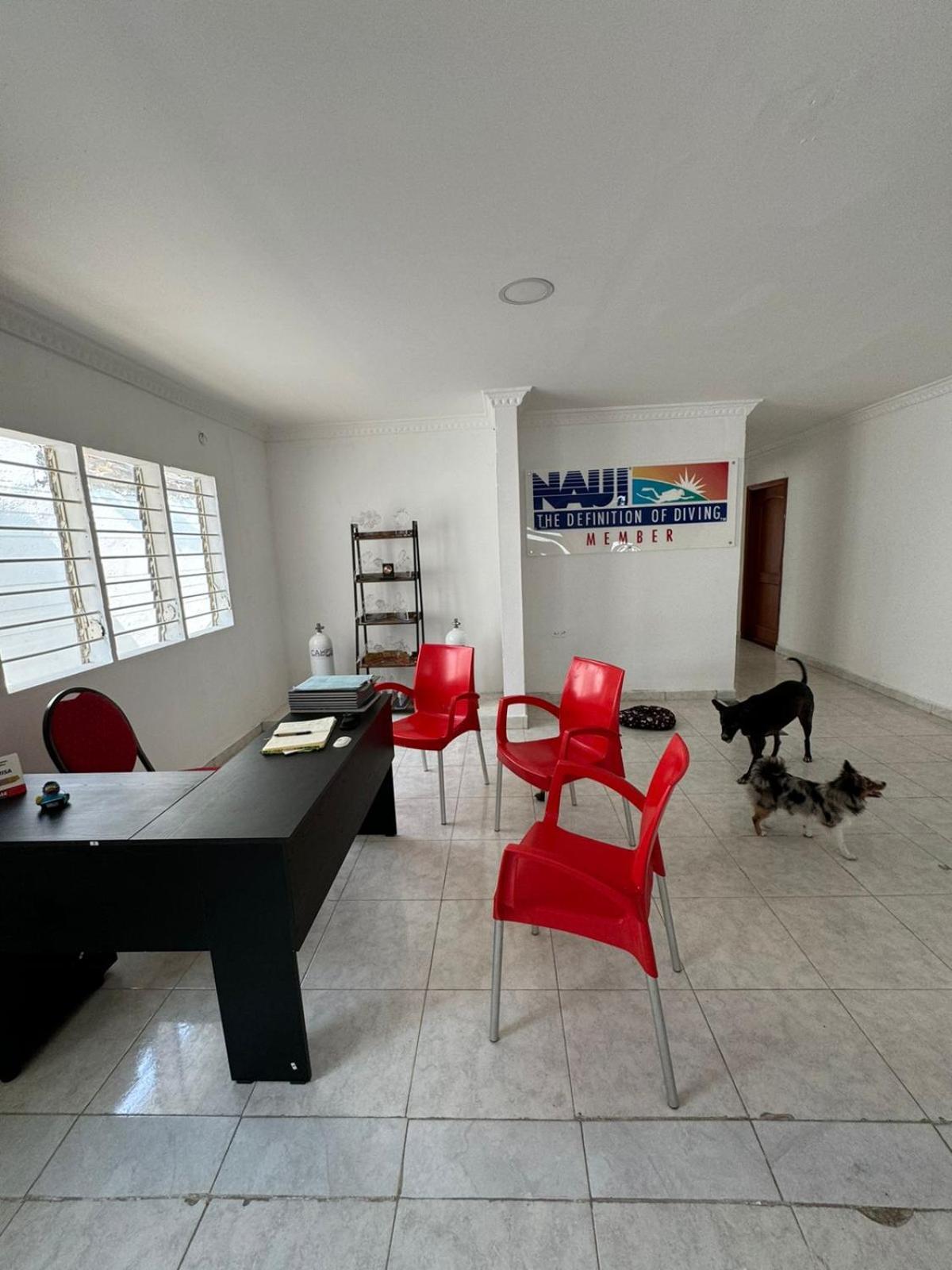 Calipso Dive And Pet Center Santa Marta (Magdalena)