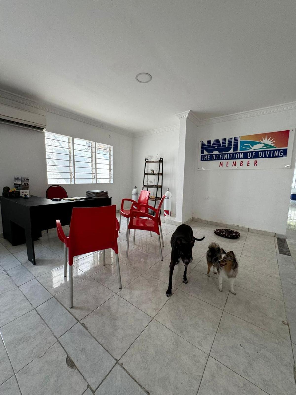 Calipso Dive And Pet Center Guest house *